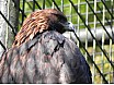 Tiergärten